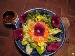 plat gîte Valès